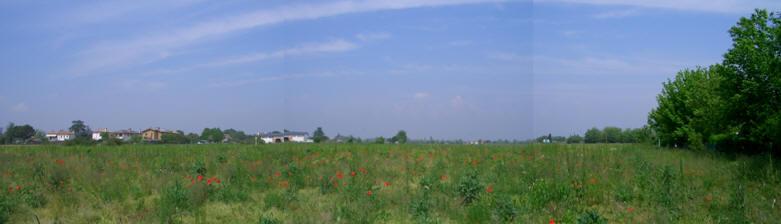 Bosco prima del progetto