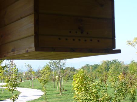 cassetta dei pollini