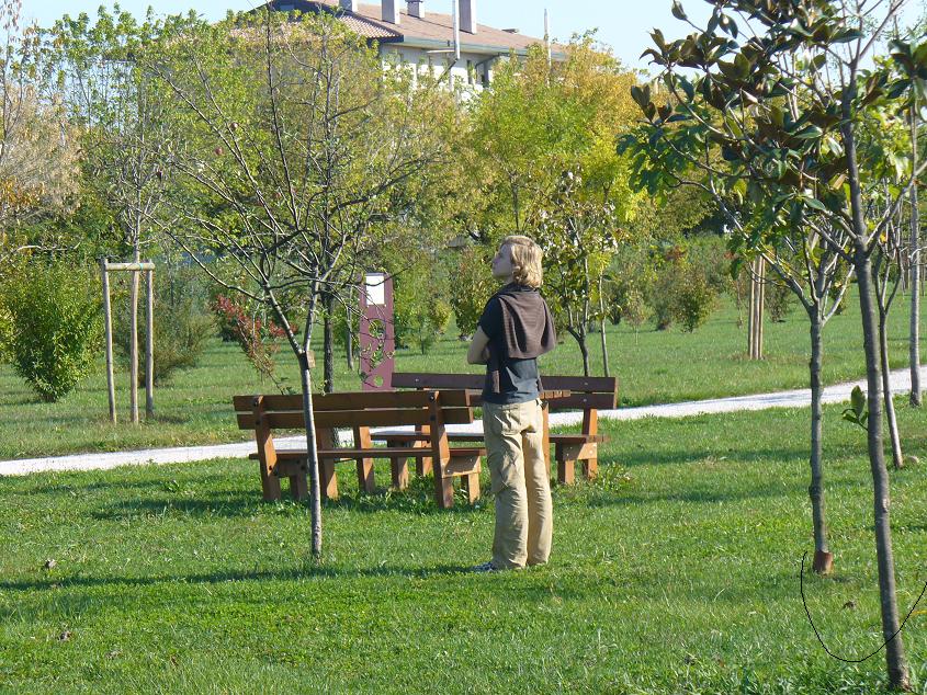 Ragazzo e il suo albero